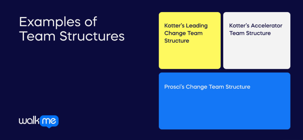 Examples of Team Structures