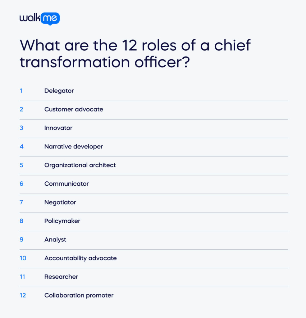 What are the 12 roles of a chief transformation officer_ (1)