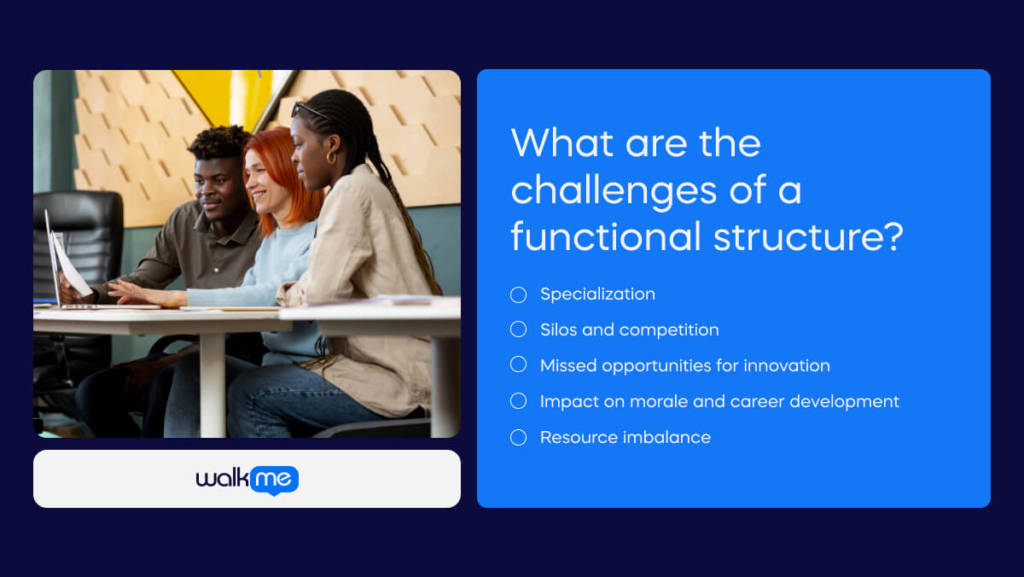 What are the challenges of a functional structure_ (1)