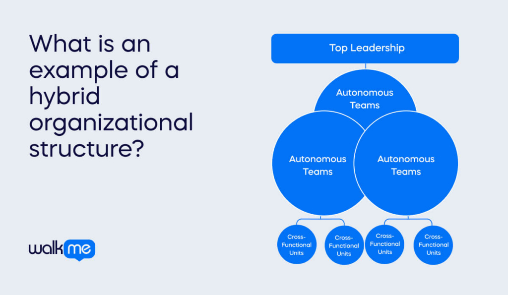 What is an example of a hybrid organizational structure_ (1)