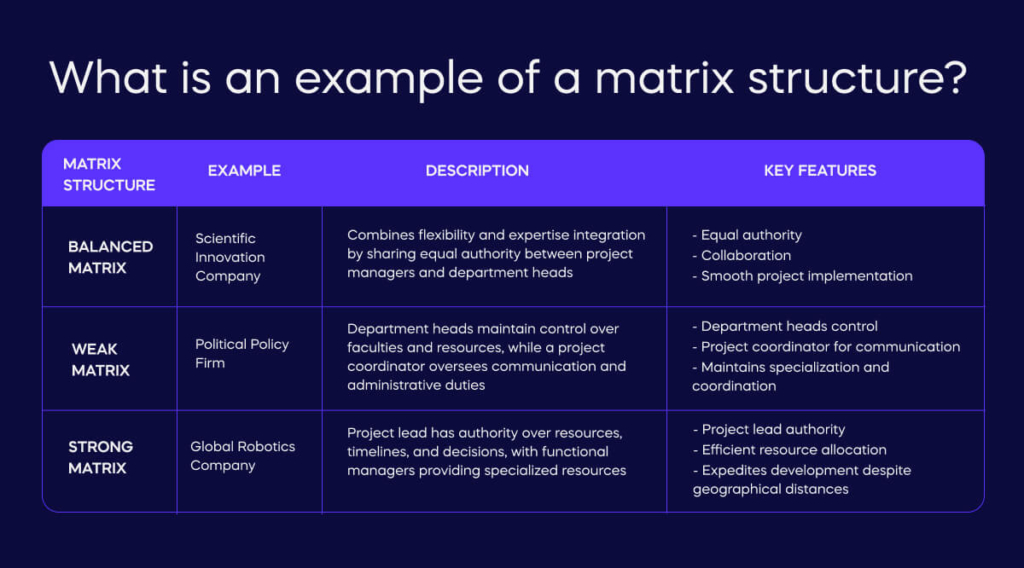 What is an example of a matrix structure_ (1)